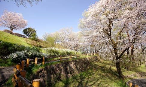 【動画まとめ】 桜ヶ丘 公園 ゆう ひ の 丘 2026年最新芸能速報 #643