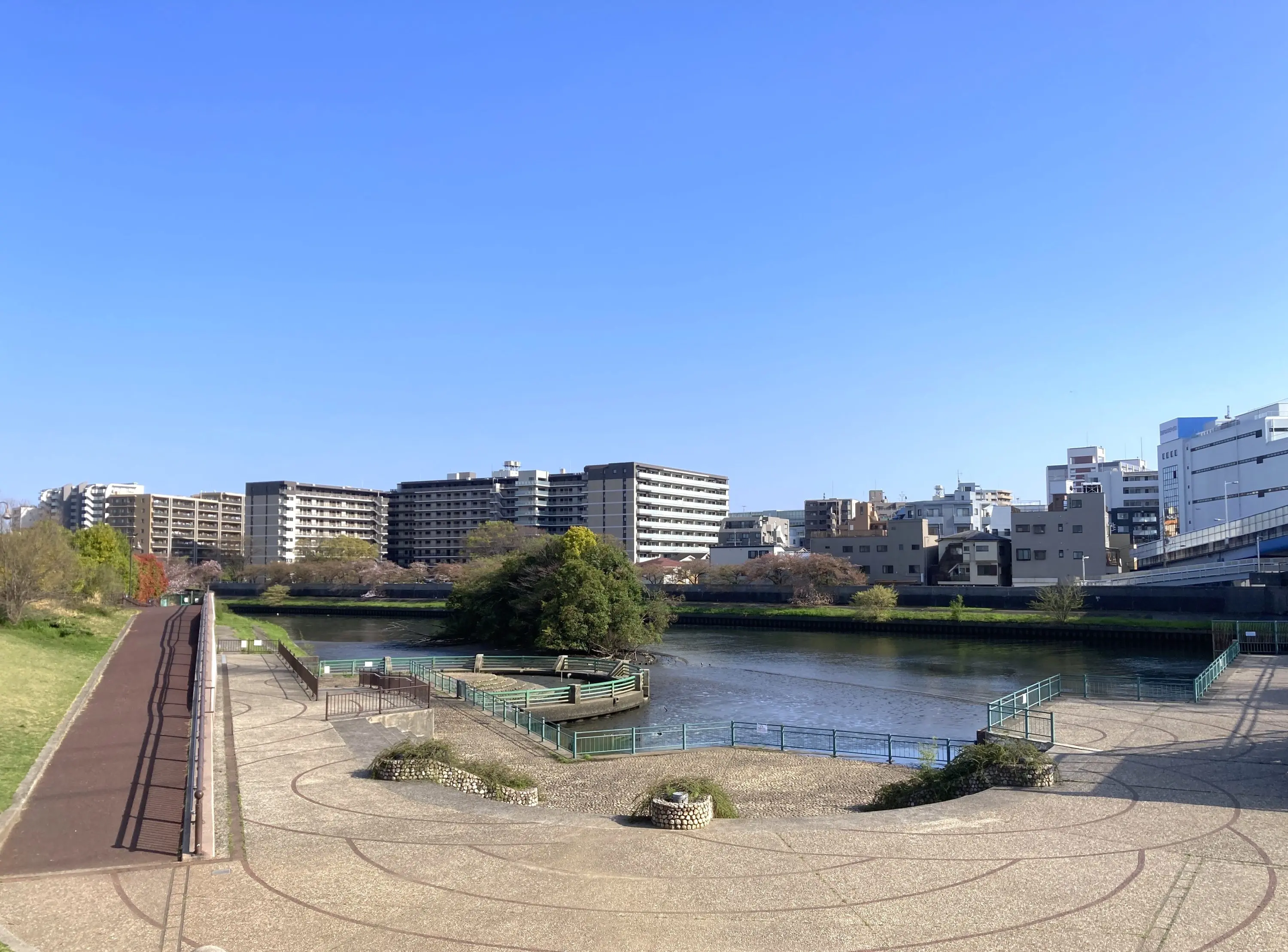 板橋の穴場・舟渡水辺公園を徹底解剖！桜とBbqの真実と駐車場攻略