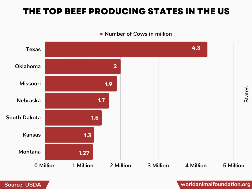 Where Does the Us Get Most of Its Beef