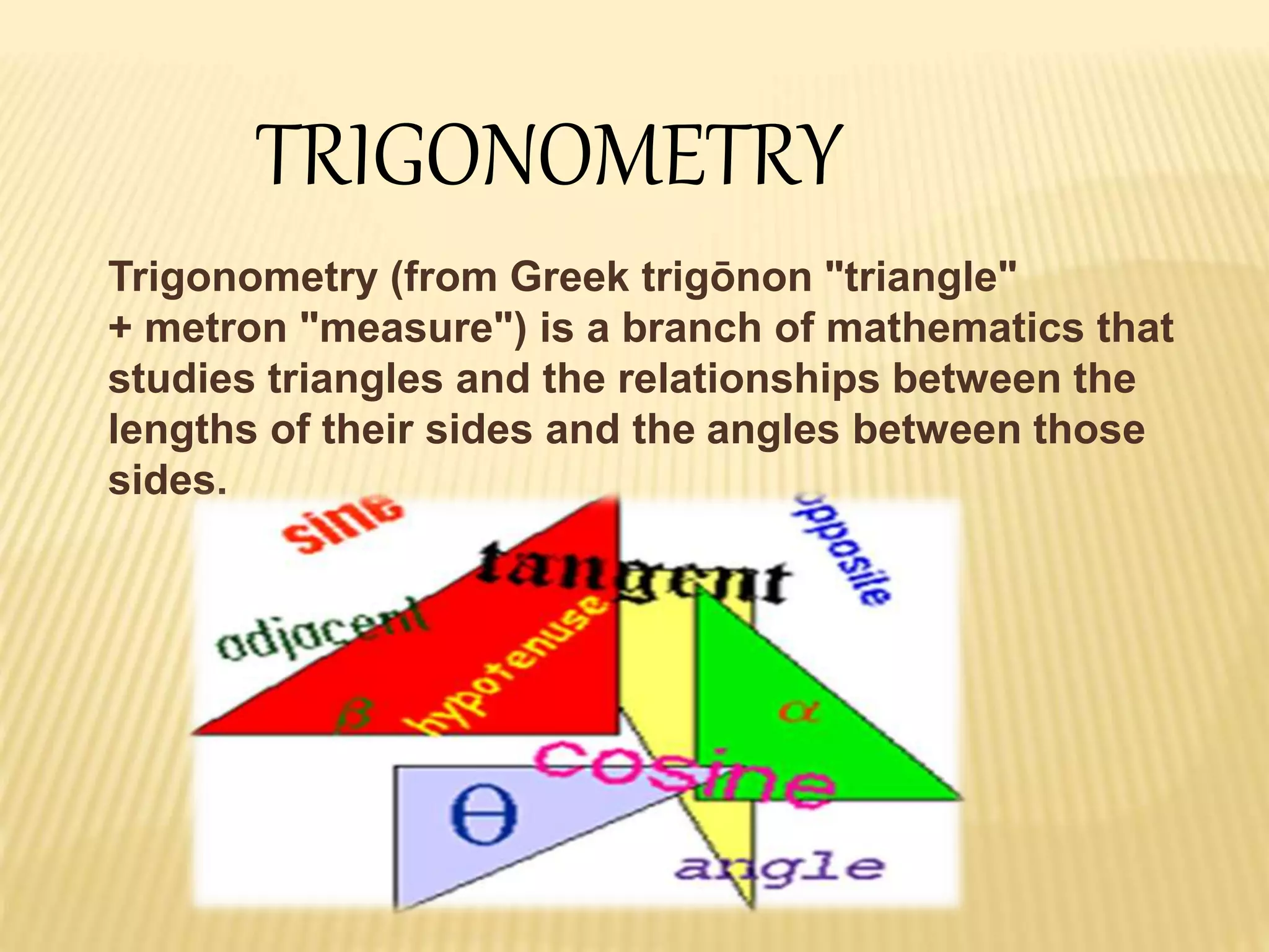 What Branch of Mathematics Studies Triangles