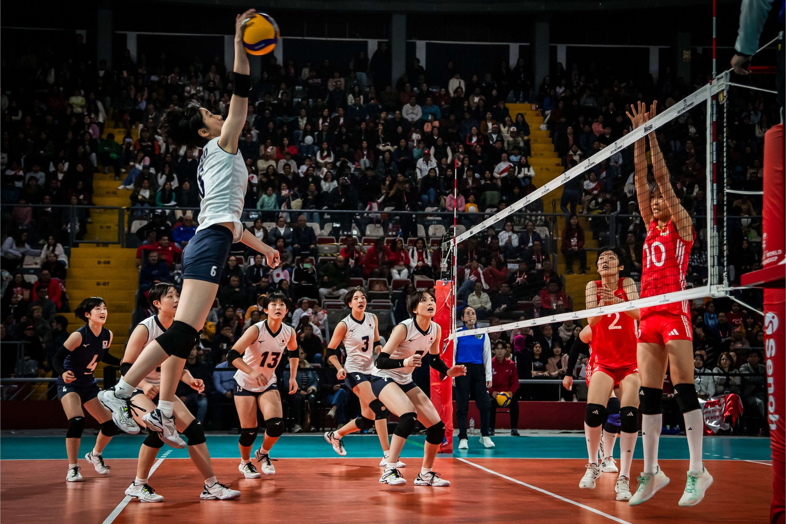 【2026年最新視点】新世代の躍進と「世界最高峰」への脱皮——女子バレー日本代表が目指すロサンゼルス五輪への勝算