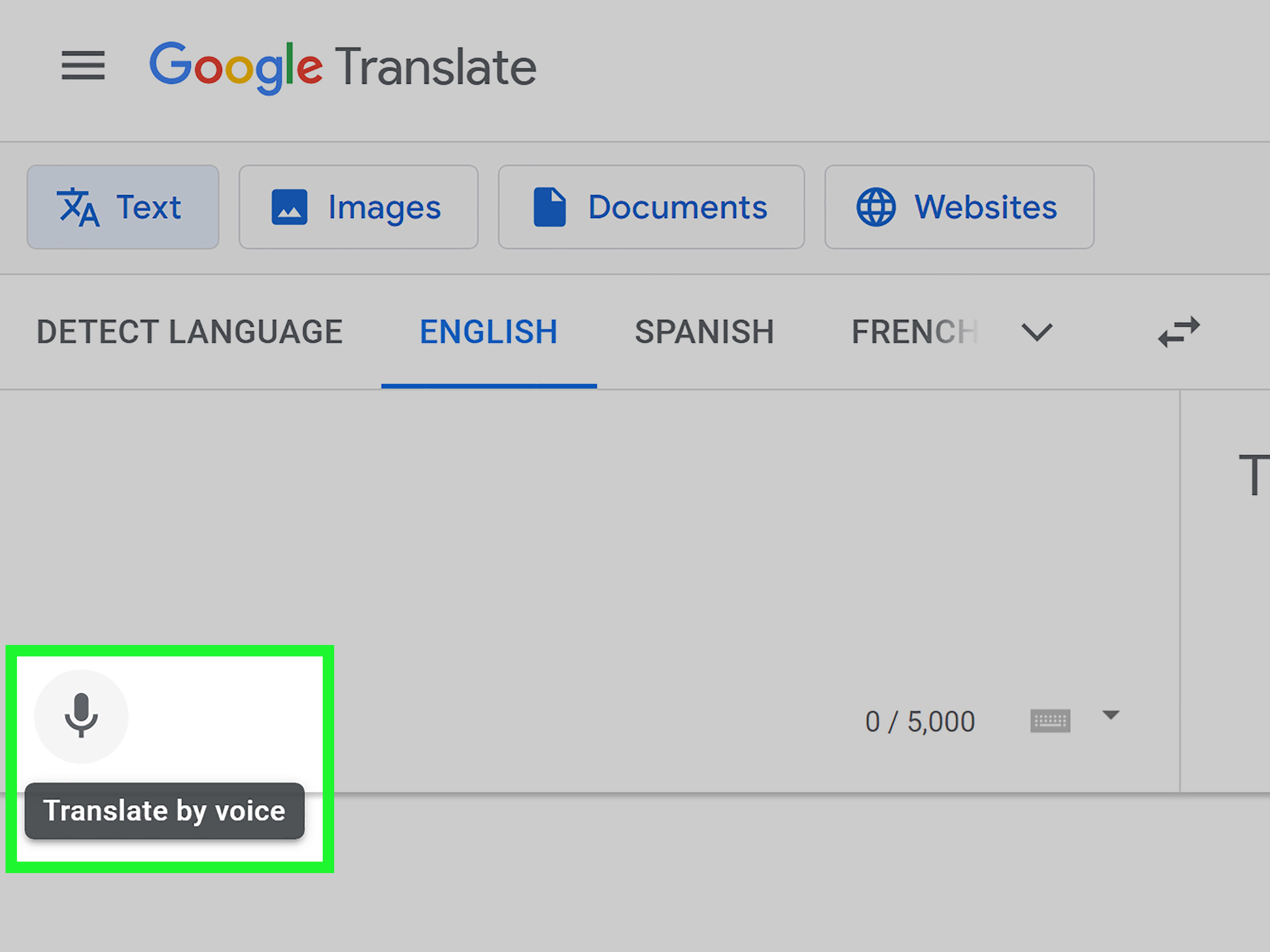 Google Translate R