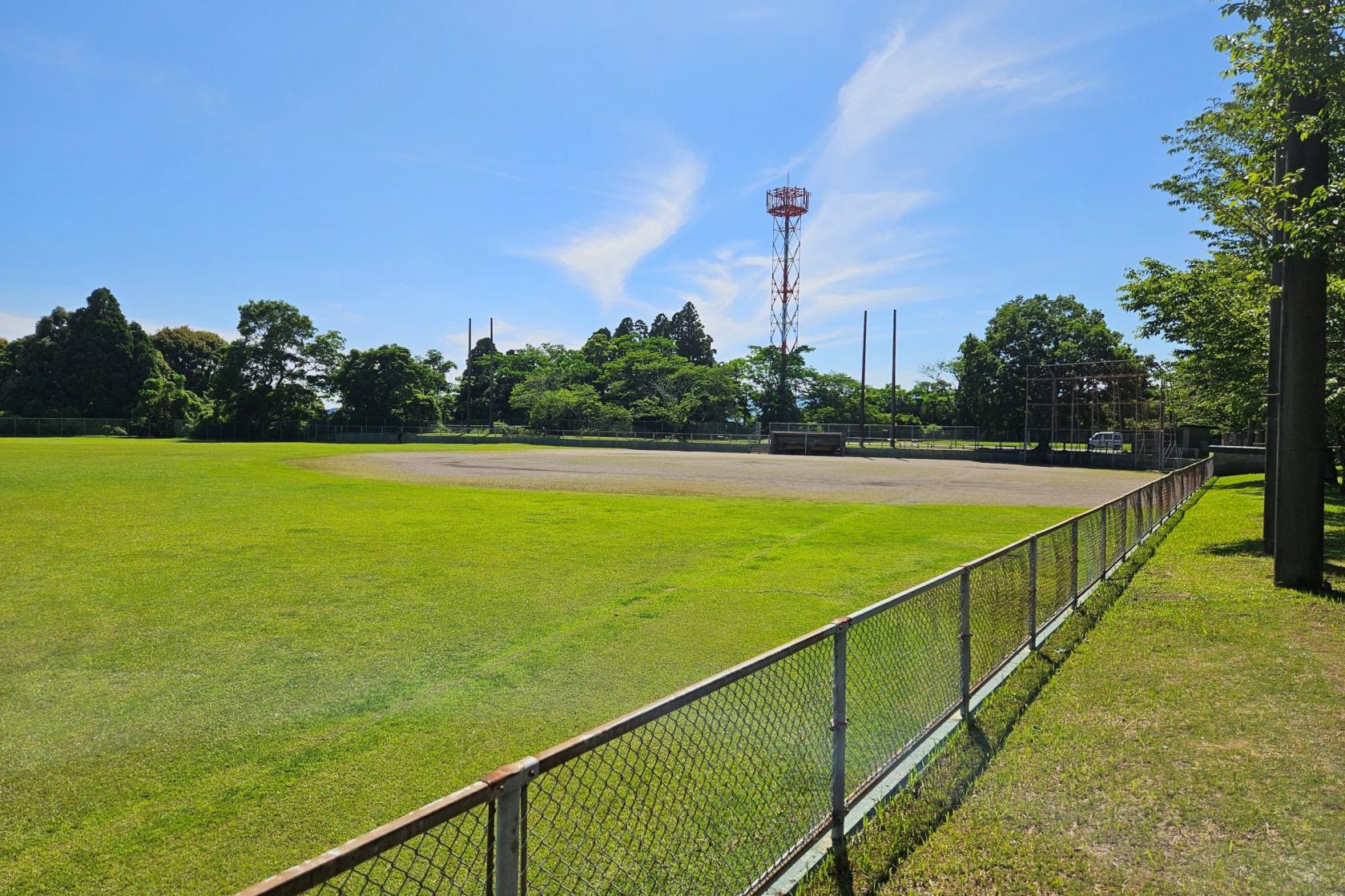 新田野球場の予約と料金を徹底解説！設備や駐車場・空き状況の完全攻略法