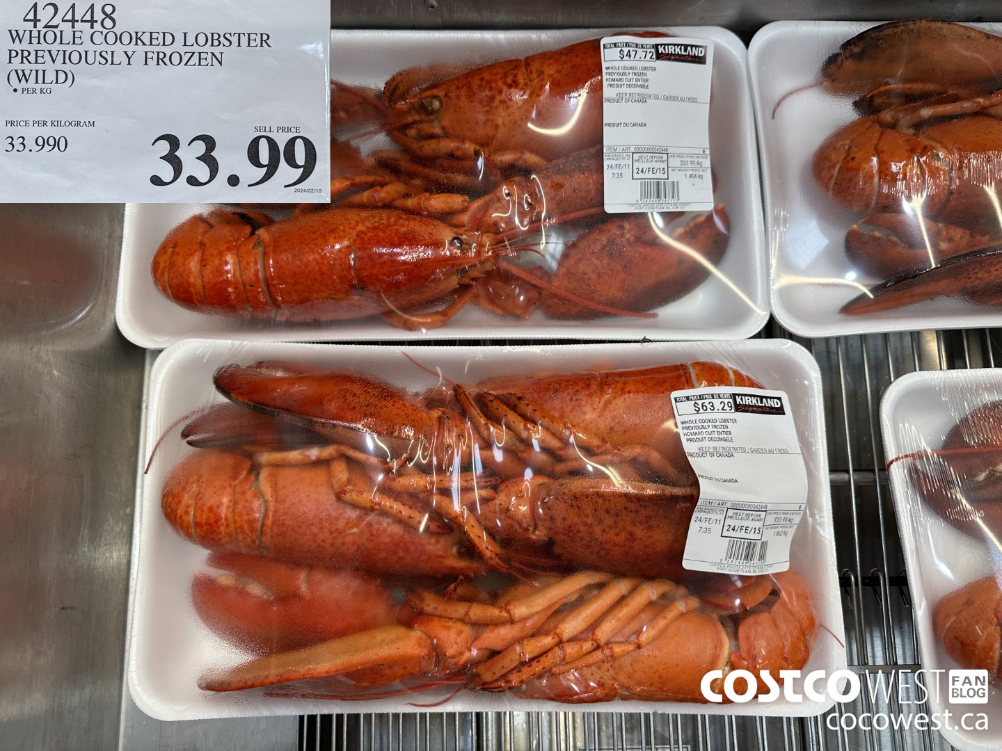 Whole Lobster for Sale