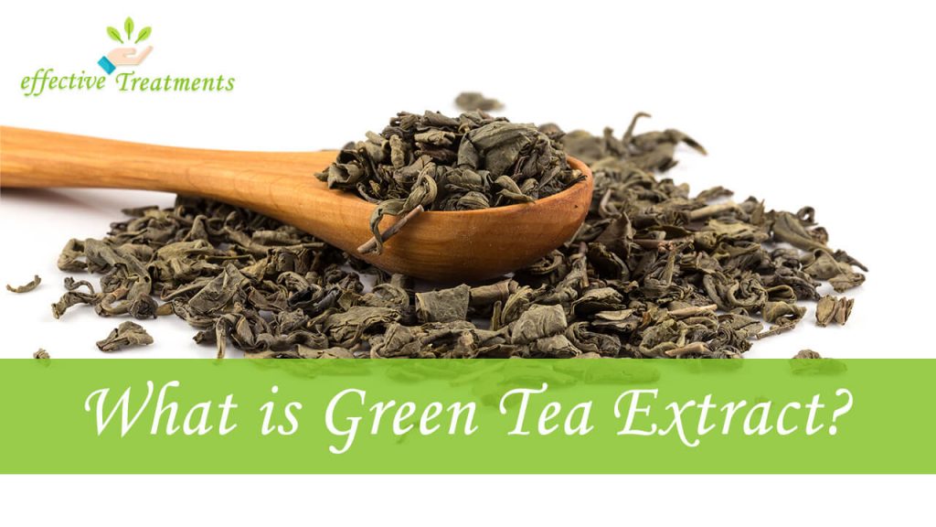 Is Green Tea Extract Against the Word of Wisdom