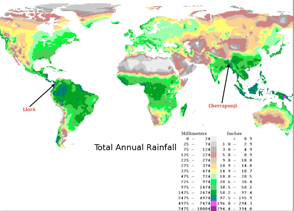 Where Is the Rainiest Place on Earth