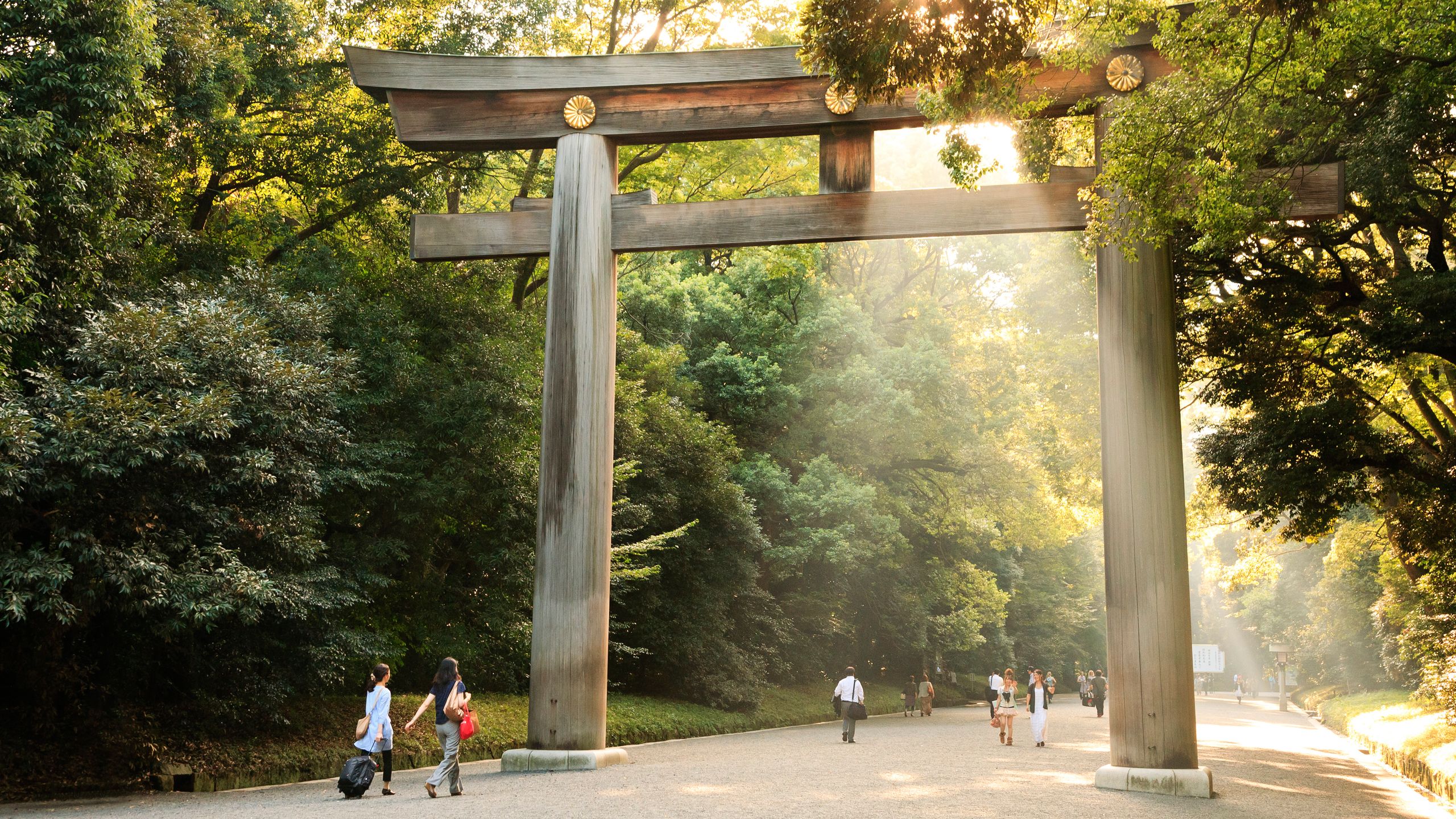 【2026最新】代々木公園の歩き方！イベント・混雑回避・穴場グルメ