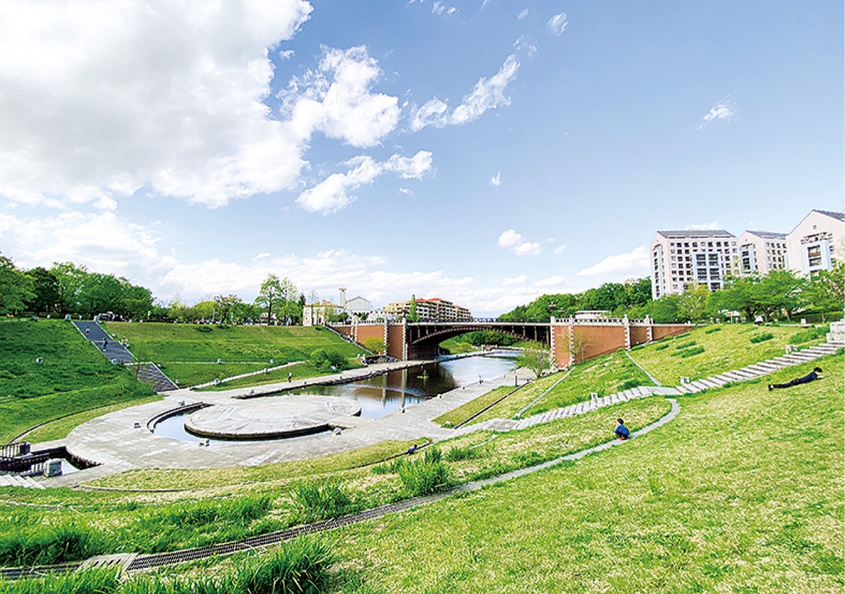 【2026年最新ルポ】コンクリートの都市に浮かぶ奇跡の生体群系——八王子「長池公園」が今、国内外のネイチャー愛好家を惹きつける理由