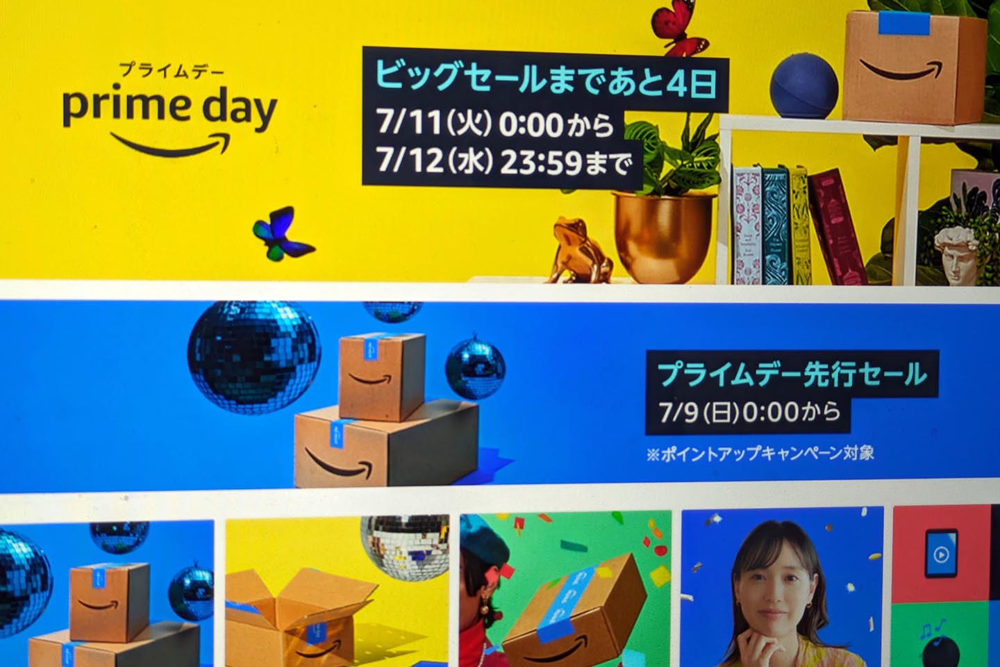 アマゾンツリーボア飼育完全版！荒い性格の真相とモルフ別価格・対策