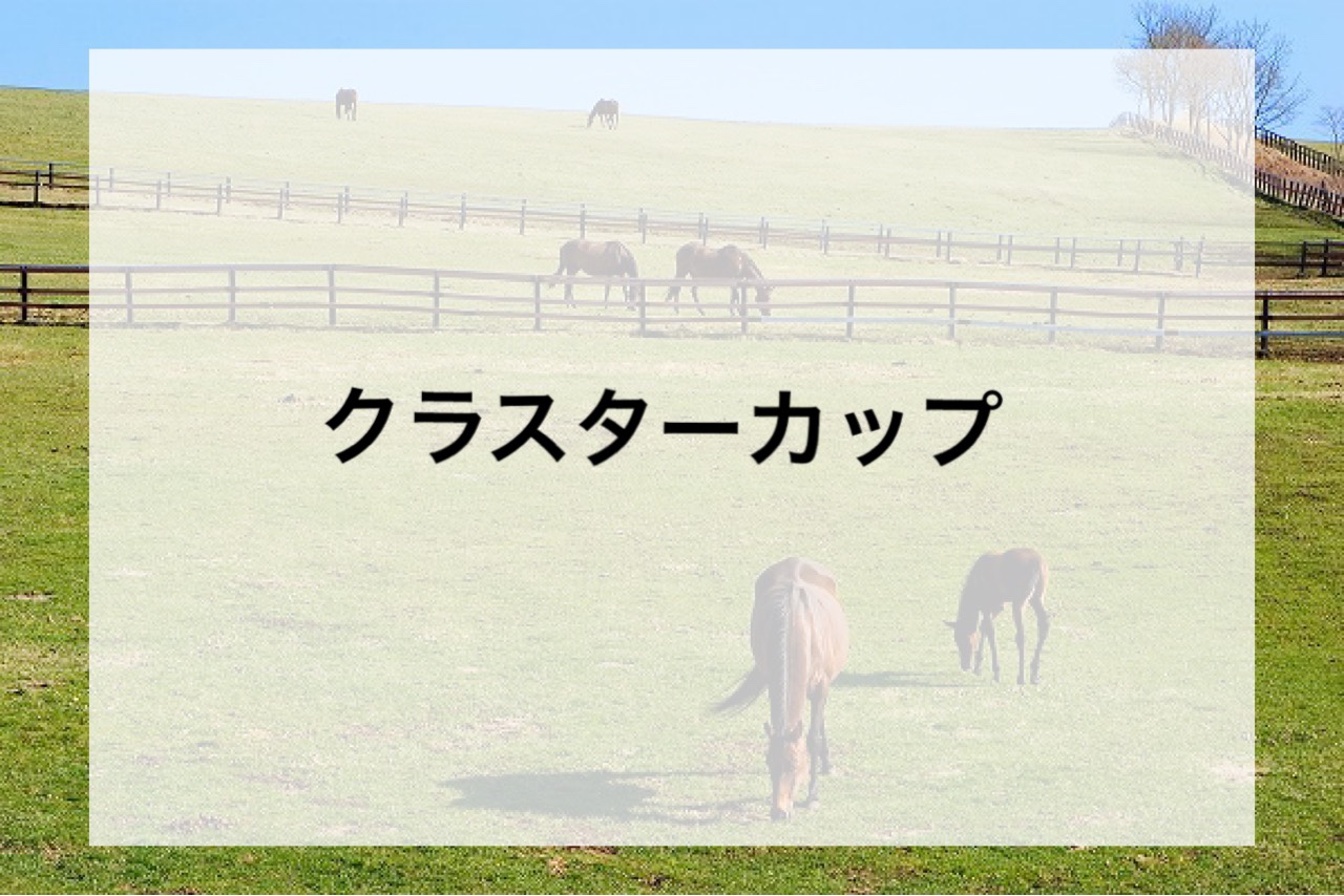 盛岡1200Mを制する絶対条件とは？クラスターカップ過去データから紐解く穴馬の法則と2026年攻略法