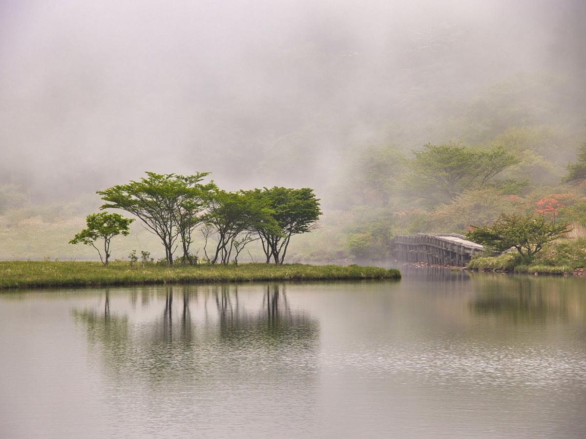赤城山「小尾瀬」覚満淵の四季を歩く！紅葉・木道散策の完全攻略ガイド