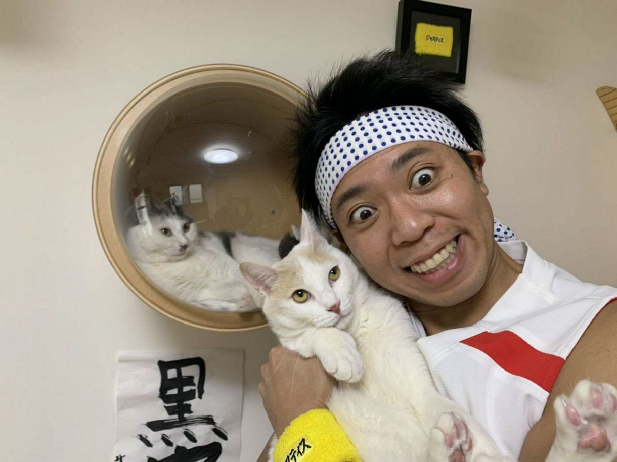 保護猫活動に挑む芸能人の真相！池崎や杉本彩が変えた動物福祉の最前線