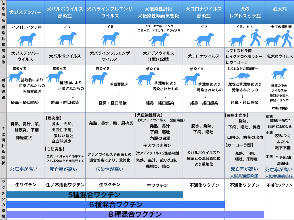 犬の混合ワクチン種類と選び方｜多ければ安全は大間違い？最新基準