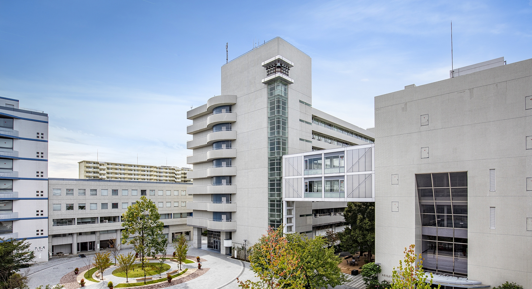 なぜ昭和女子大学は就職率首位なのか？偏差値とテンプル連携の真相を徹底解説