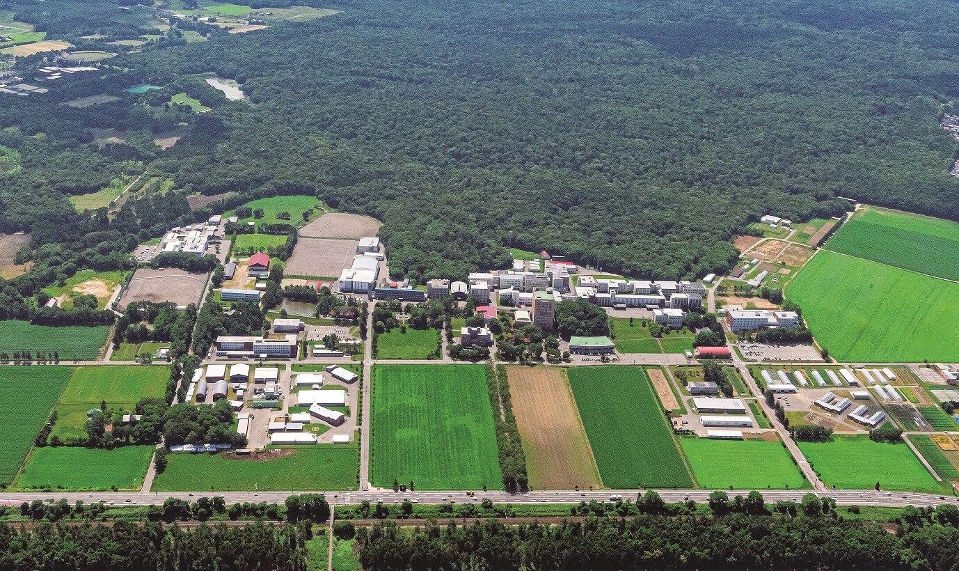 酪農学園大学のリアルな評判と難易度！獣医の合格率や学費を徹底検証
