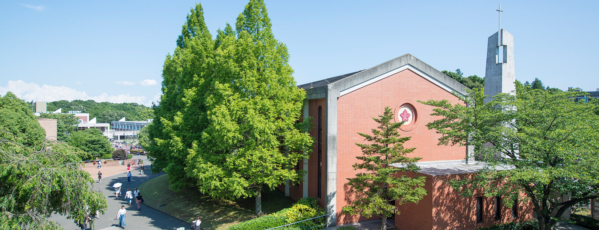 東洋英和女学院大学の評判と偏差値の真相｜就職先とお嬢様説を徹底検証