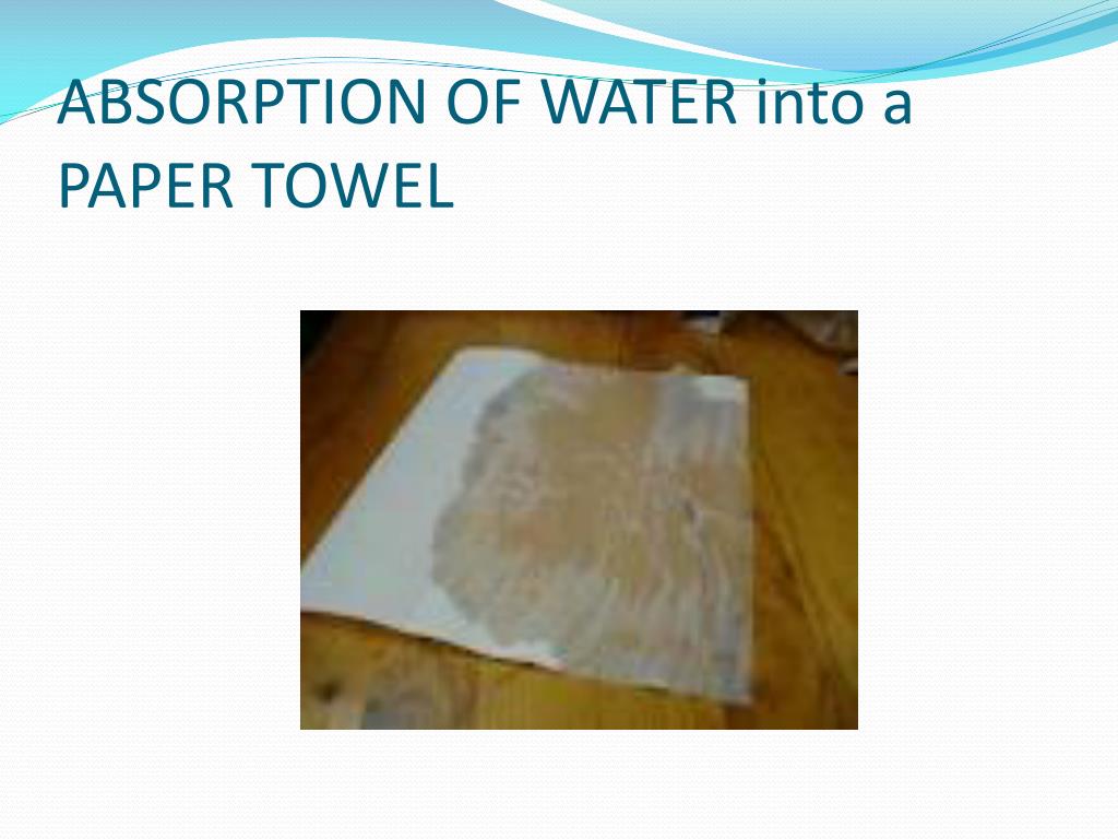 Paper Towel Absorbing Water Chemical or Physical Change