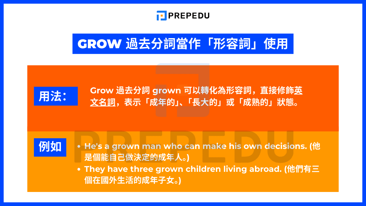 Growの過去形と過去分詞を即答！Grew・Grownの活用と注意点