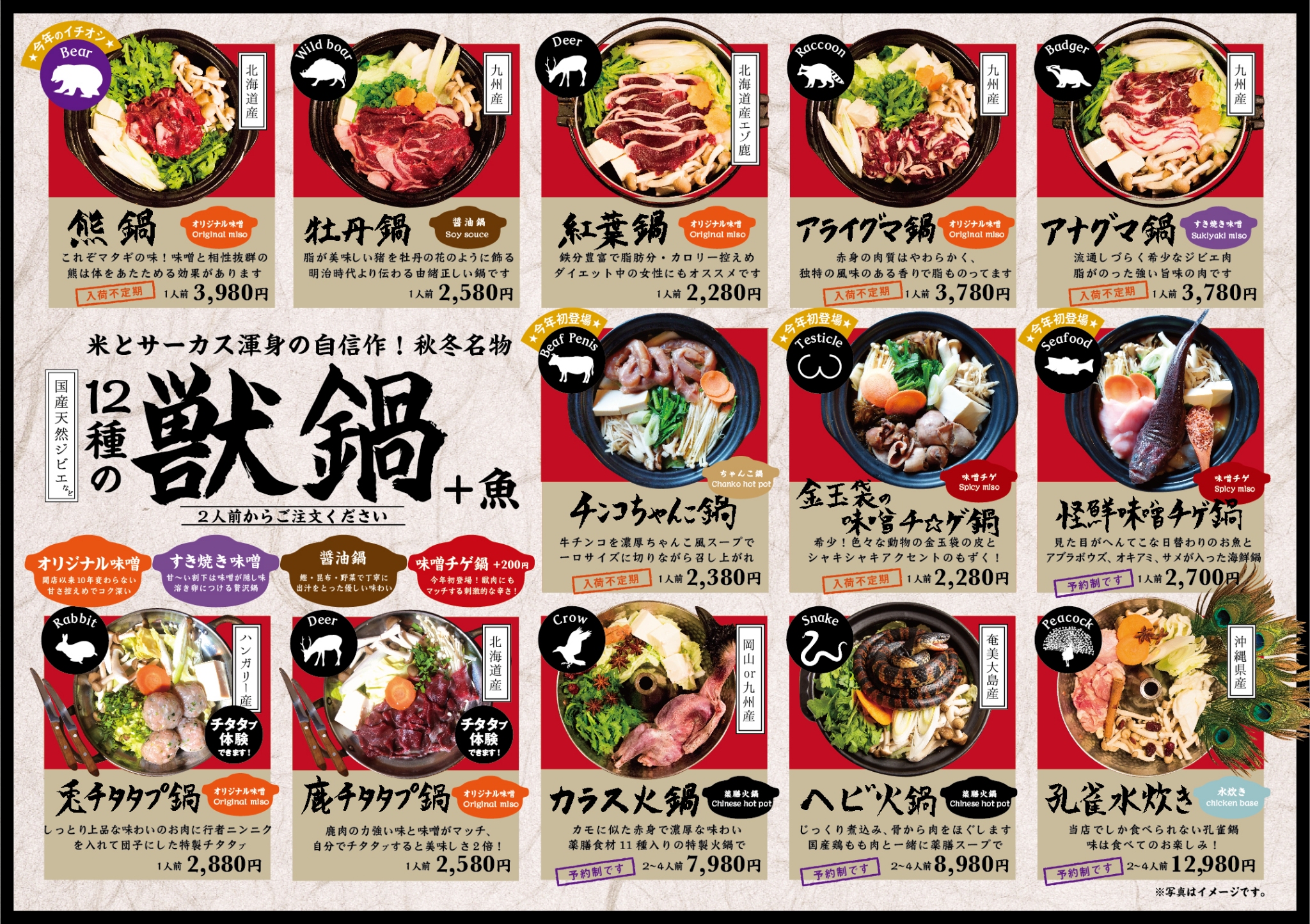 米とサーカス評判の真相！まずい噂や昆虫食・ジビエの味を徹底検証