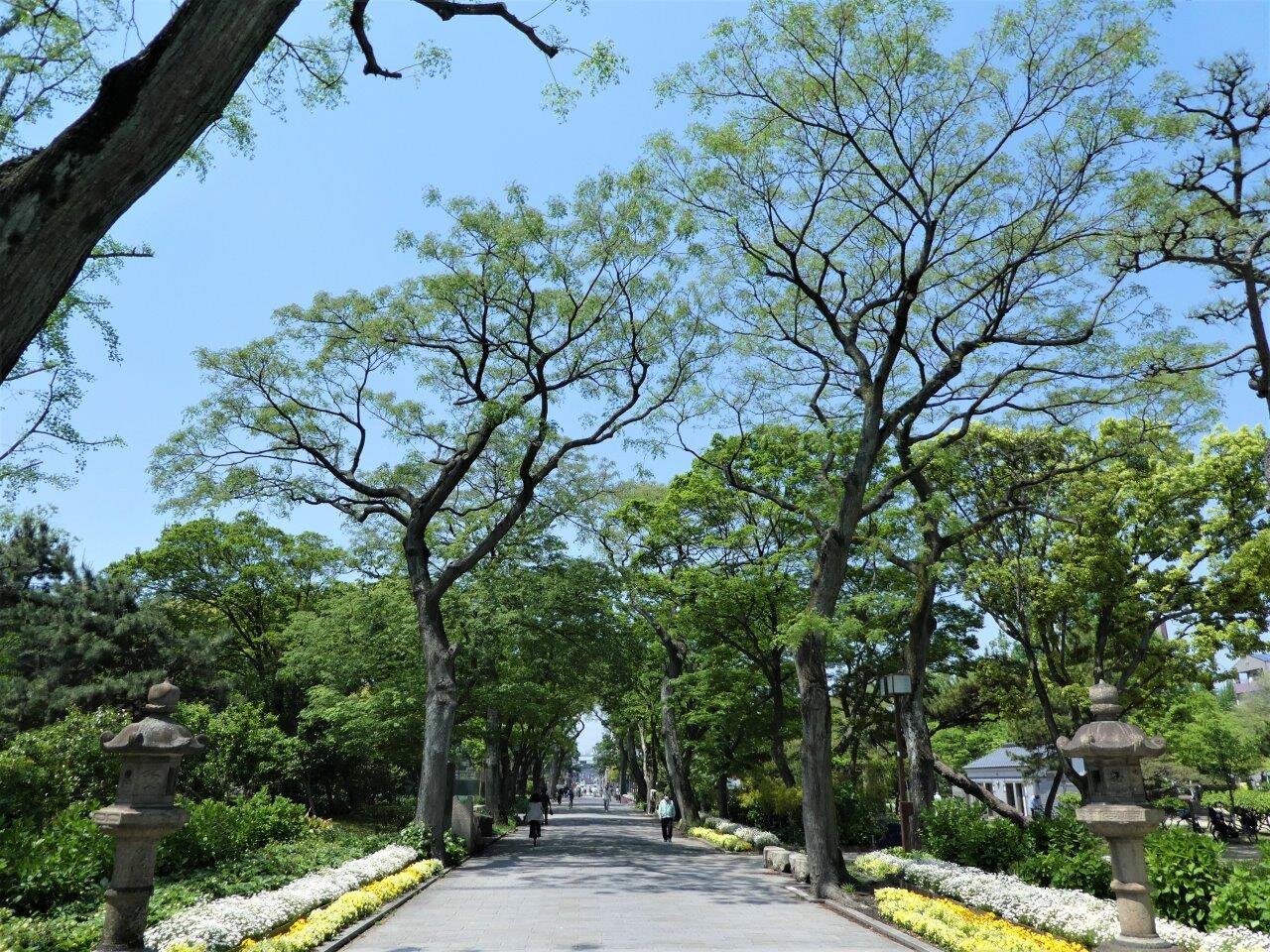 大阪最古の住吉公園を徹底解説！Bbq・花見の穴場と周辺の魅力