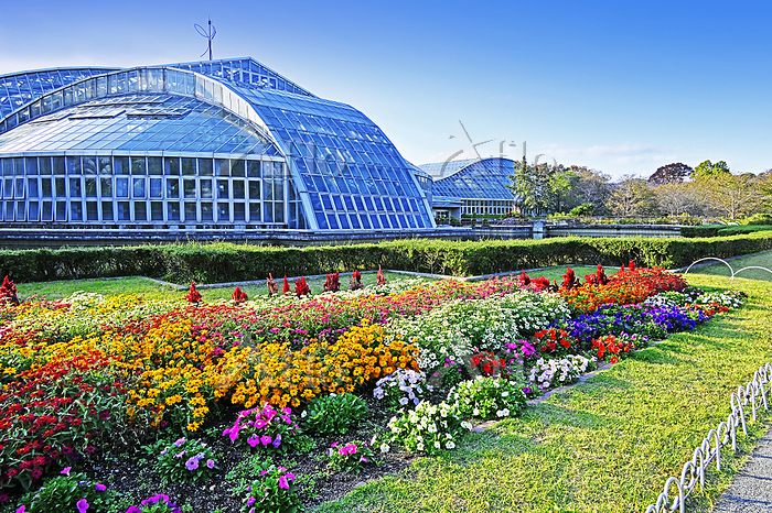 開園100年を超えた緑の聖地へ。京都府立植物園が目指す「未来型ボタニカル」の進化と2026年現在のリアル