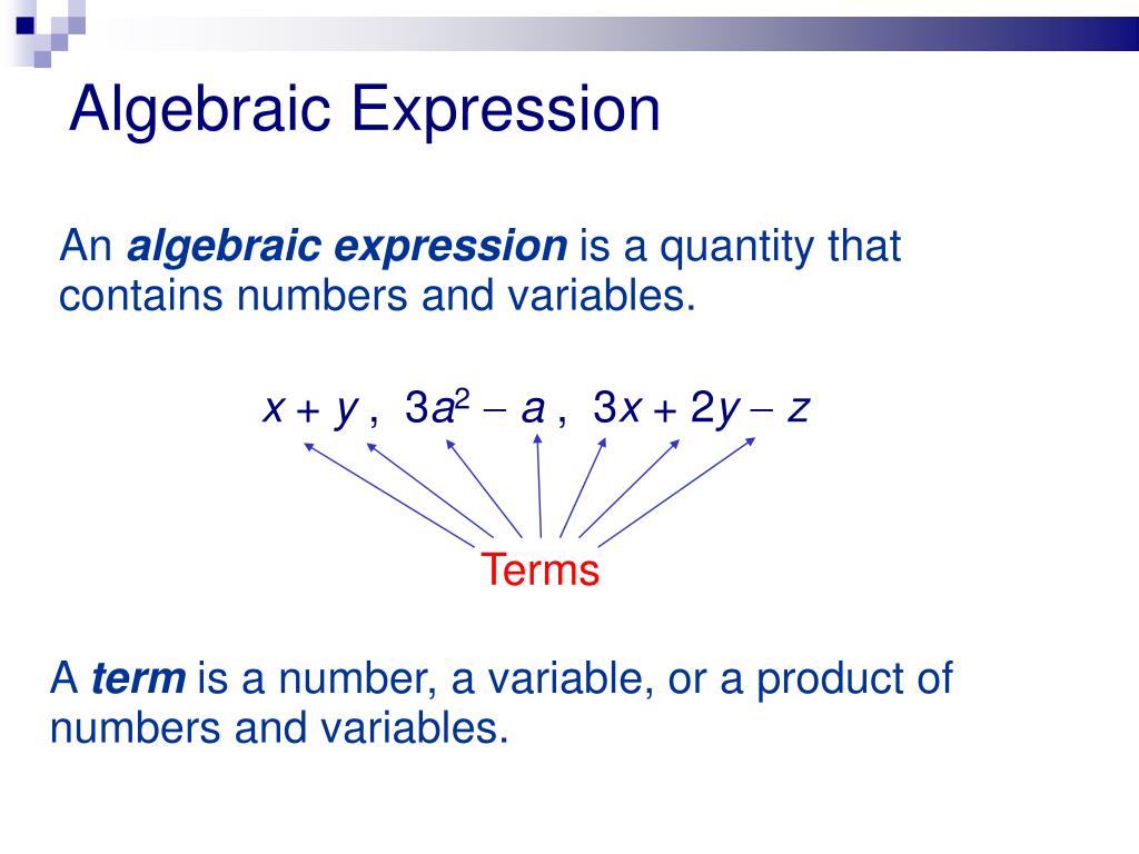 What Is the Term of Algebraic Expression