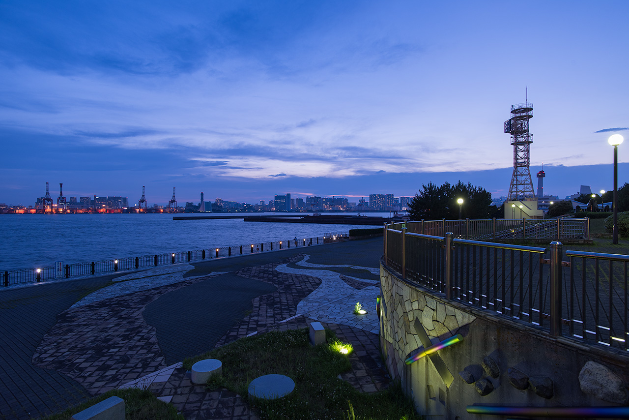【2026年最新】青海南ふ頭公園の釣り事情と夜景穴場を徹底ガイド！