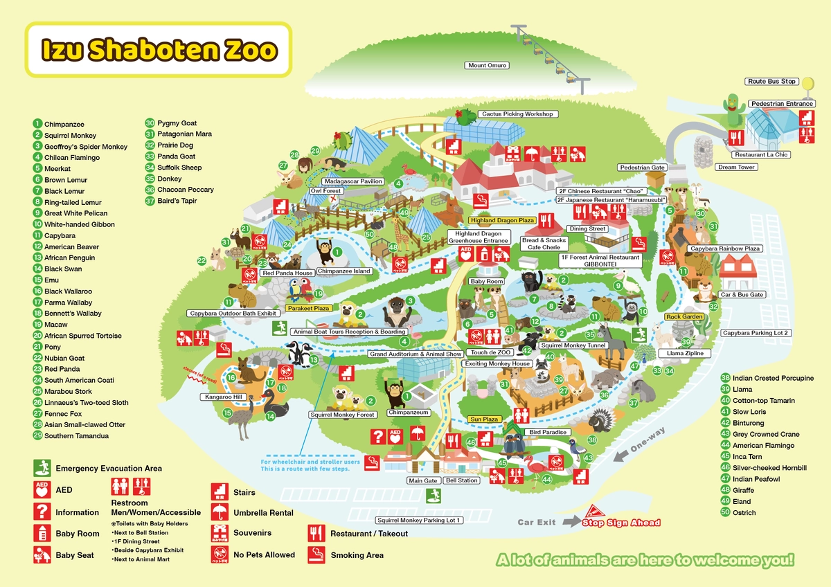 【2026最新】伊豆シャボテン動物公園の割引裏ワザ＆カピバラ露天風呂を徹底解説