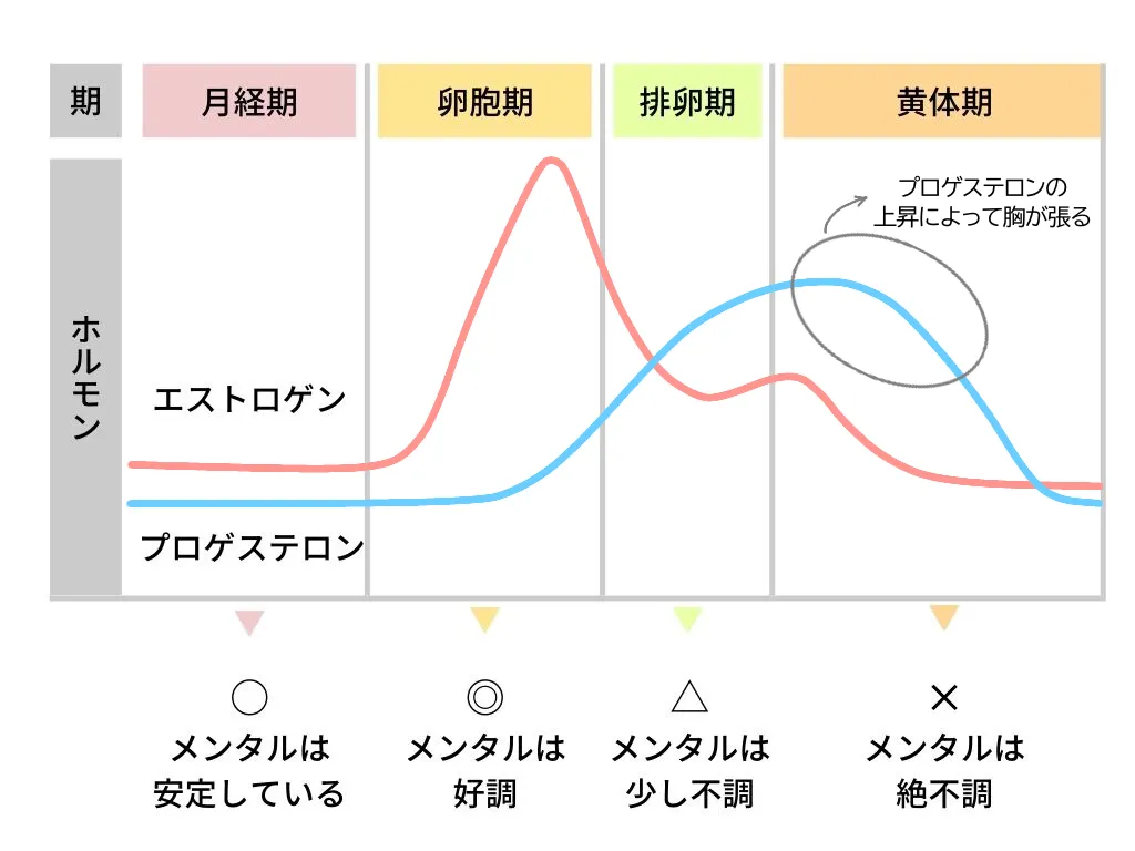 生理後に胸が張る原因は？妊娠の可能性と注意すべき病気のサイン
