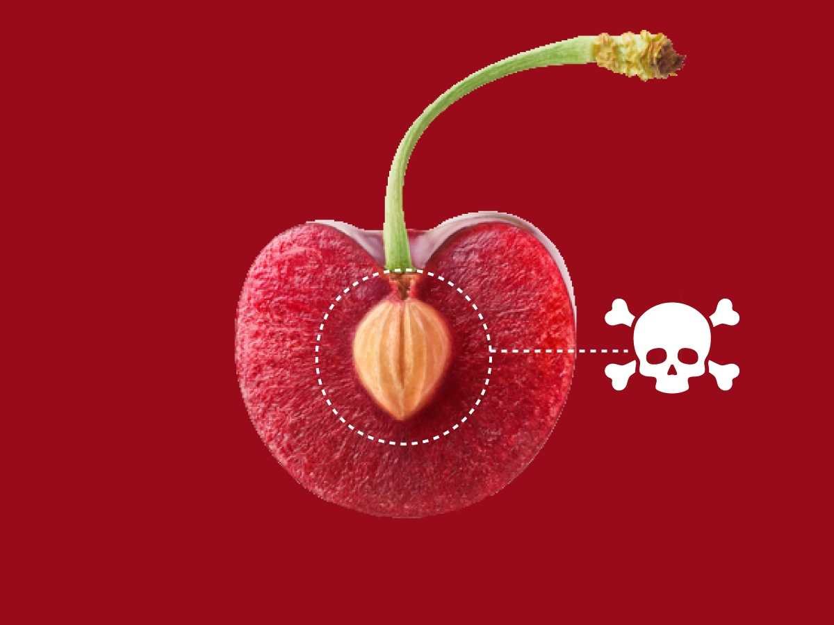 Are Cherry Pits Poisonous to People