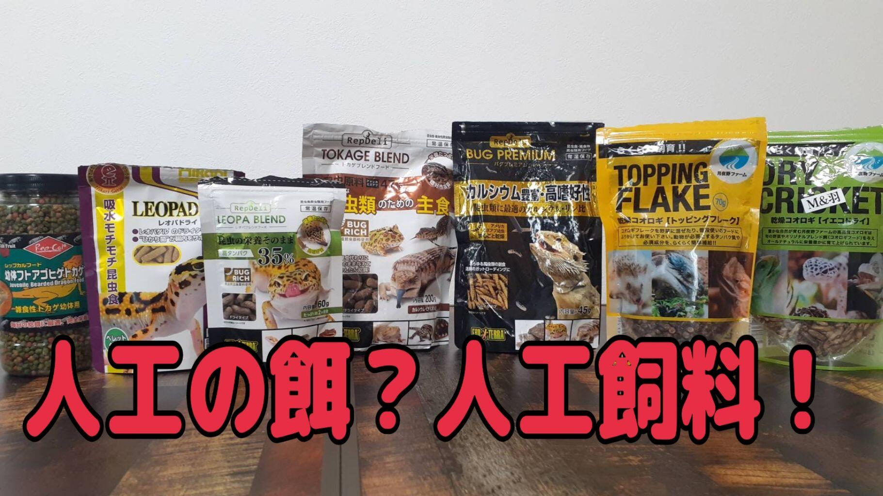 カナヘビにかつお節は危険？食べる理由と代用餌の罠を徹底解説