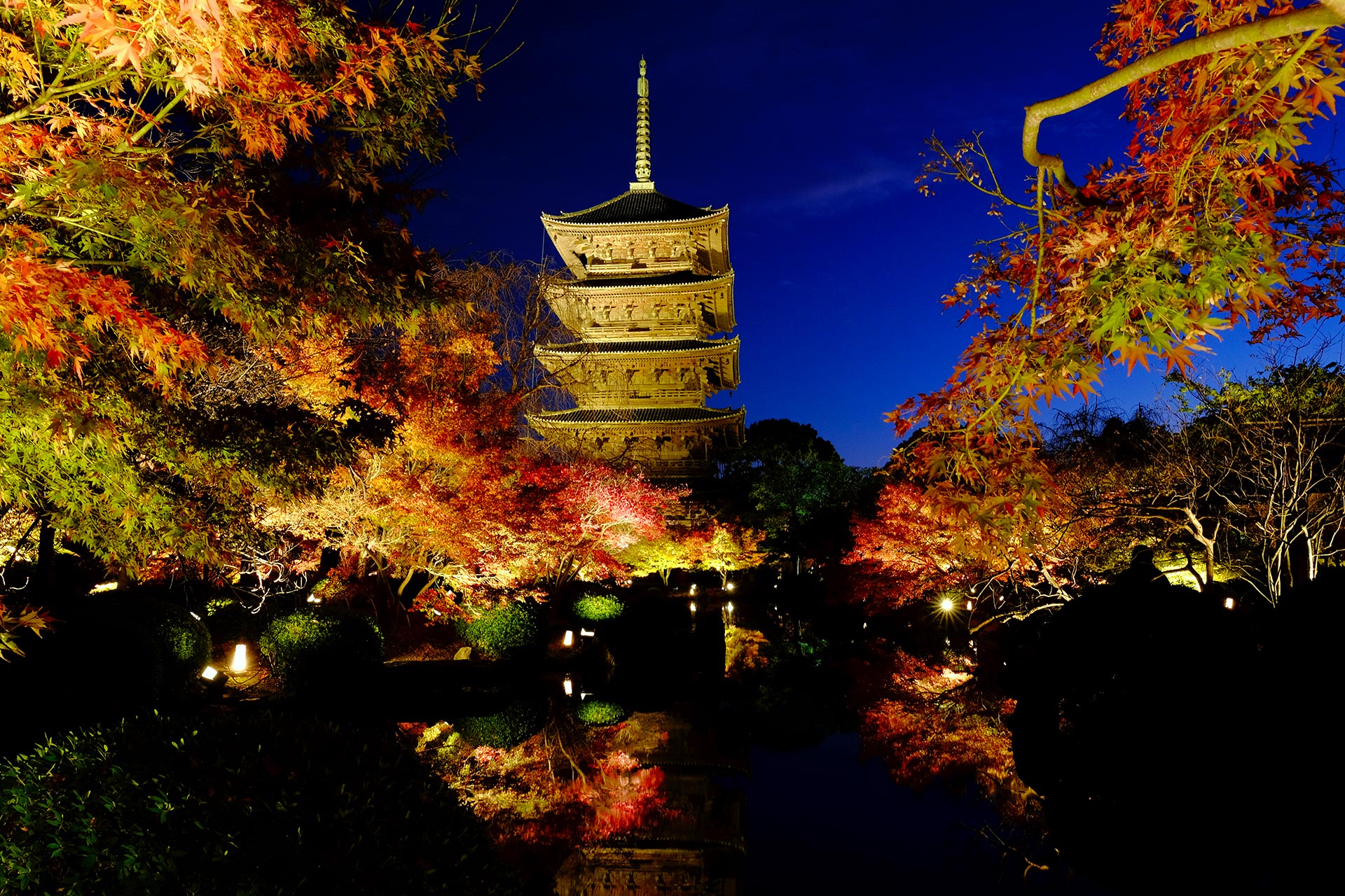 【2026最新】東寺ライトアップ完全攻略！夜桜と紅葉の絶景・混雑回避術