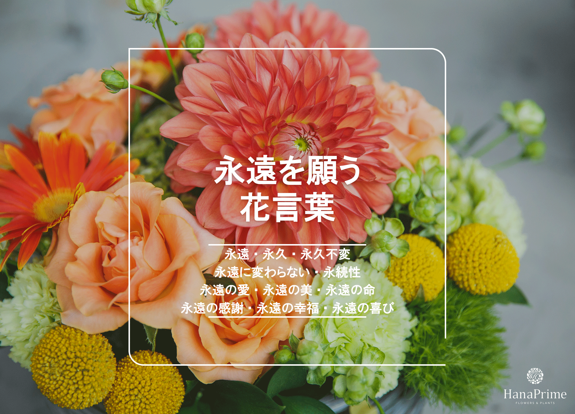 永遠の愛の花言葉は何？薔薇の本数と裏の怖い意味まで徹底検証