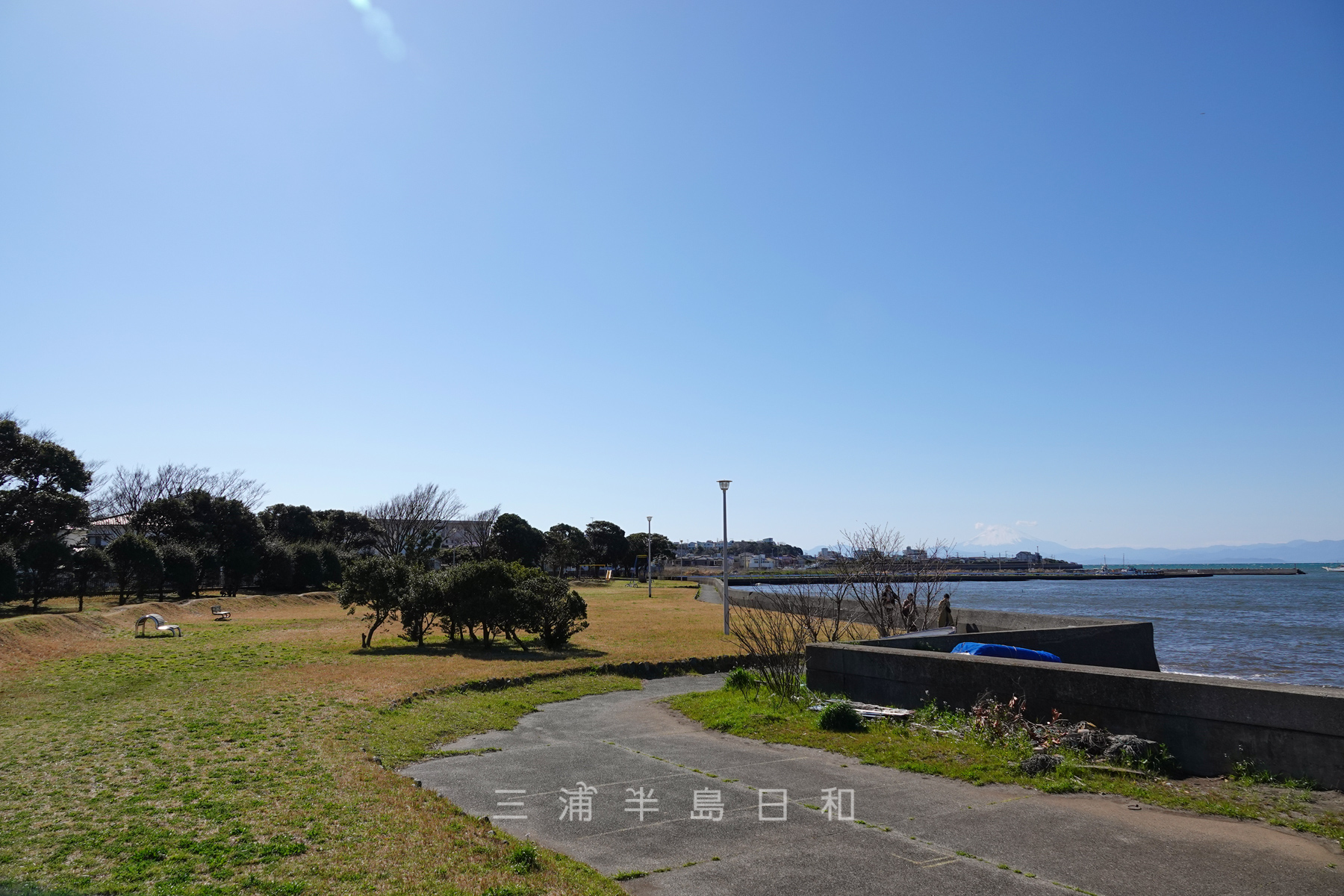 横須賀・富浦公園の穴場真相！絶景夕日と釣り・駐車場混雑を徹底調査