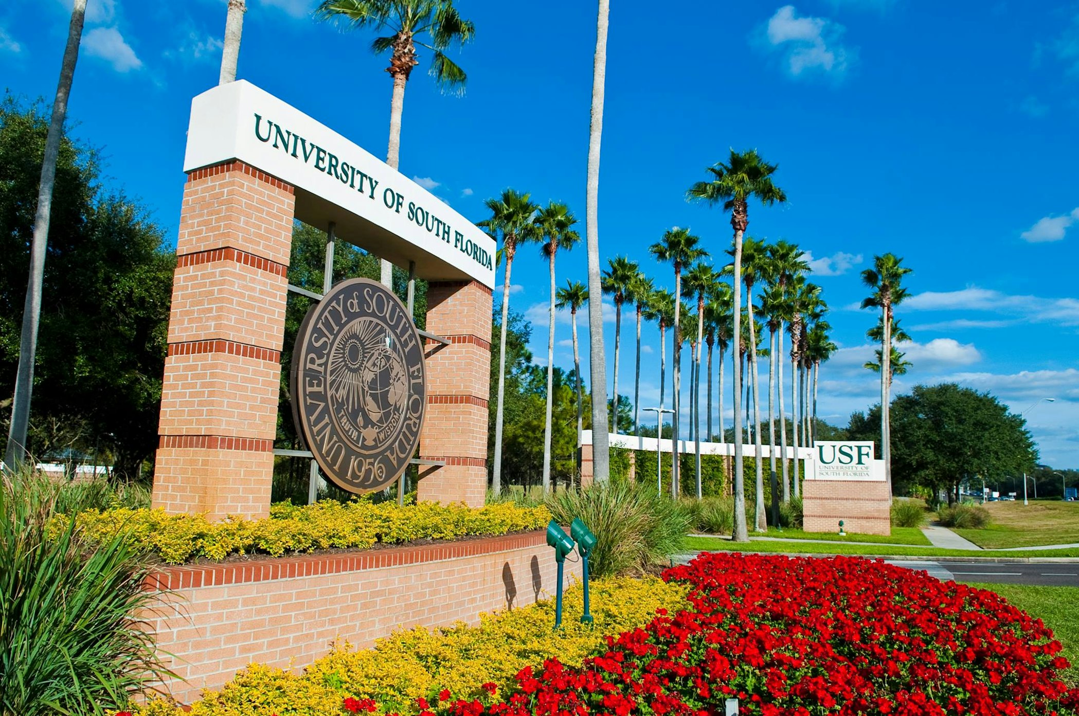Where Is Usf Florida