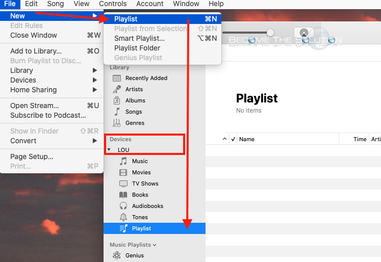 Catalina Music Where Are Playlists