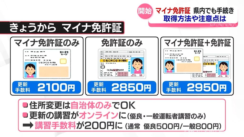 「うっかり失効」が激増中？マイナ免許証本格始動で激変する運転免許の更新ルールと2026年の落とし穴