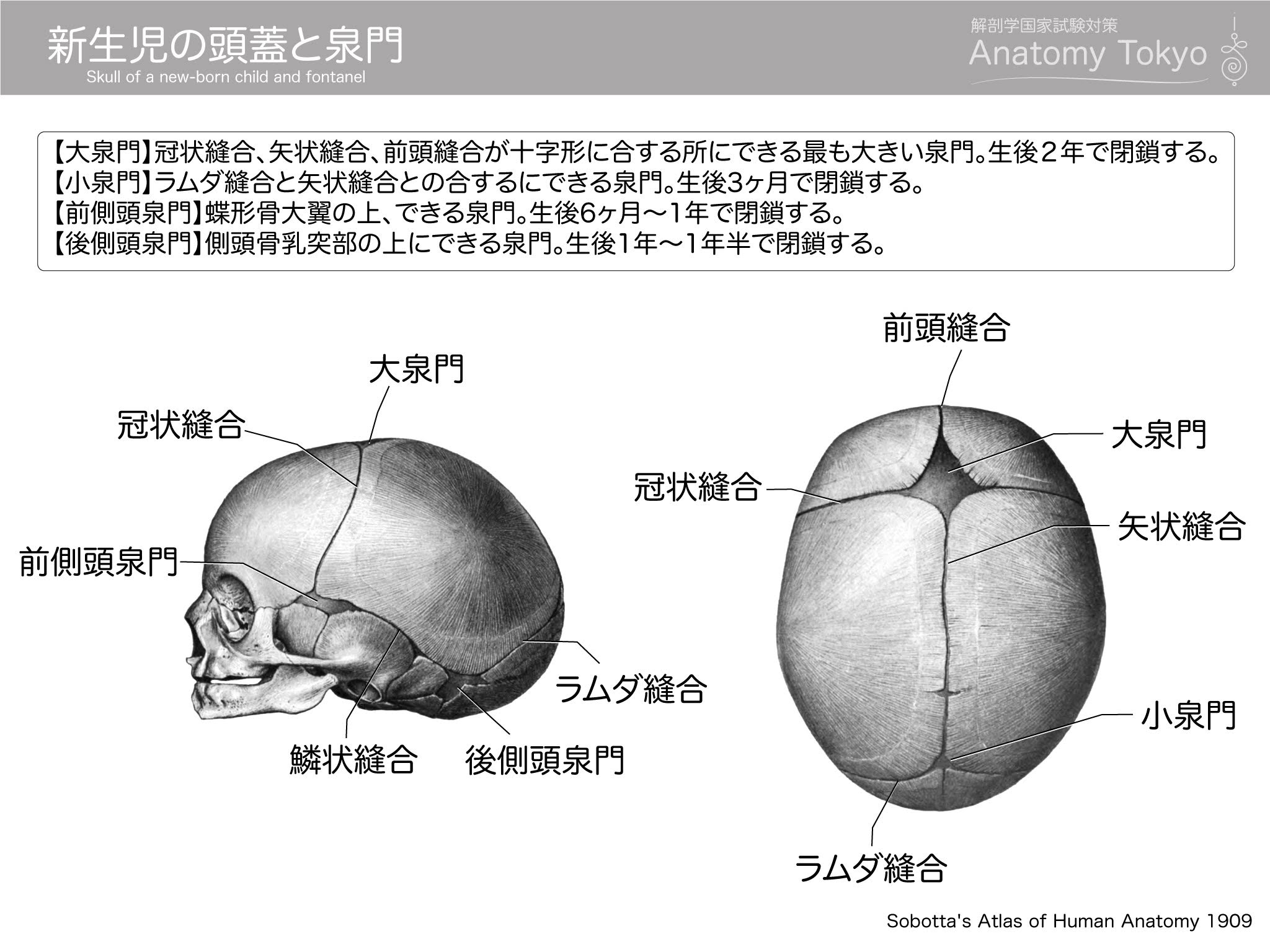 赤ちゃんの頭がドクドク脈打つ理由は？大泉門の危険サインと閉じる時期