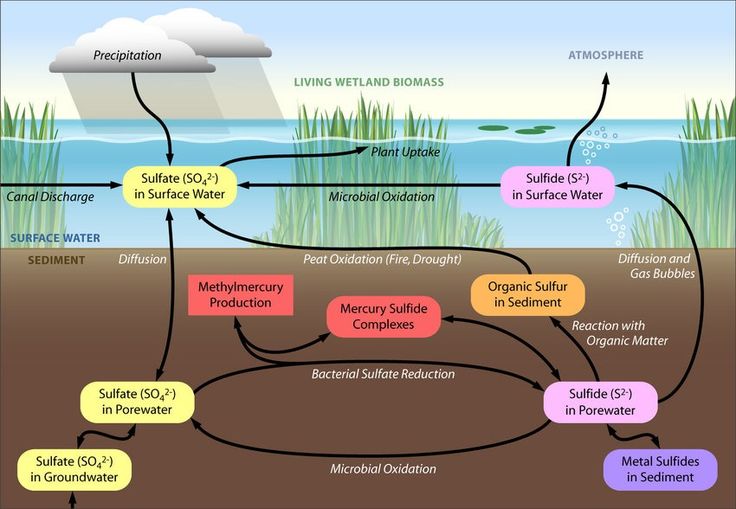 What Is Sulfur in Water
