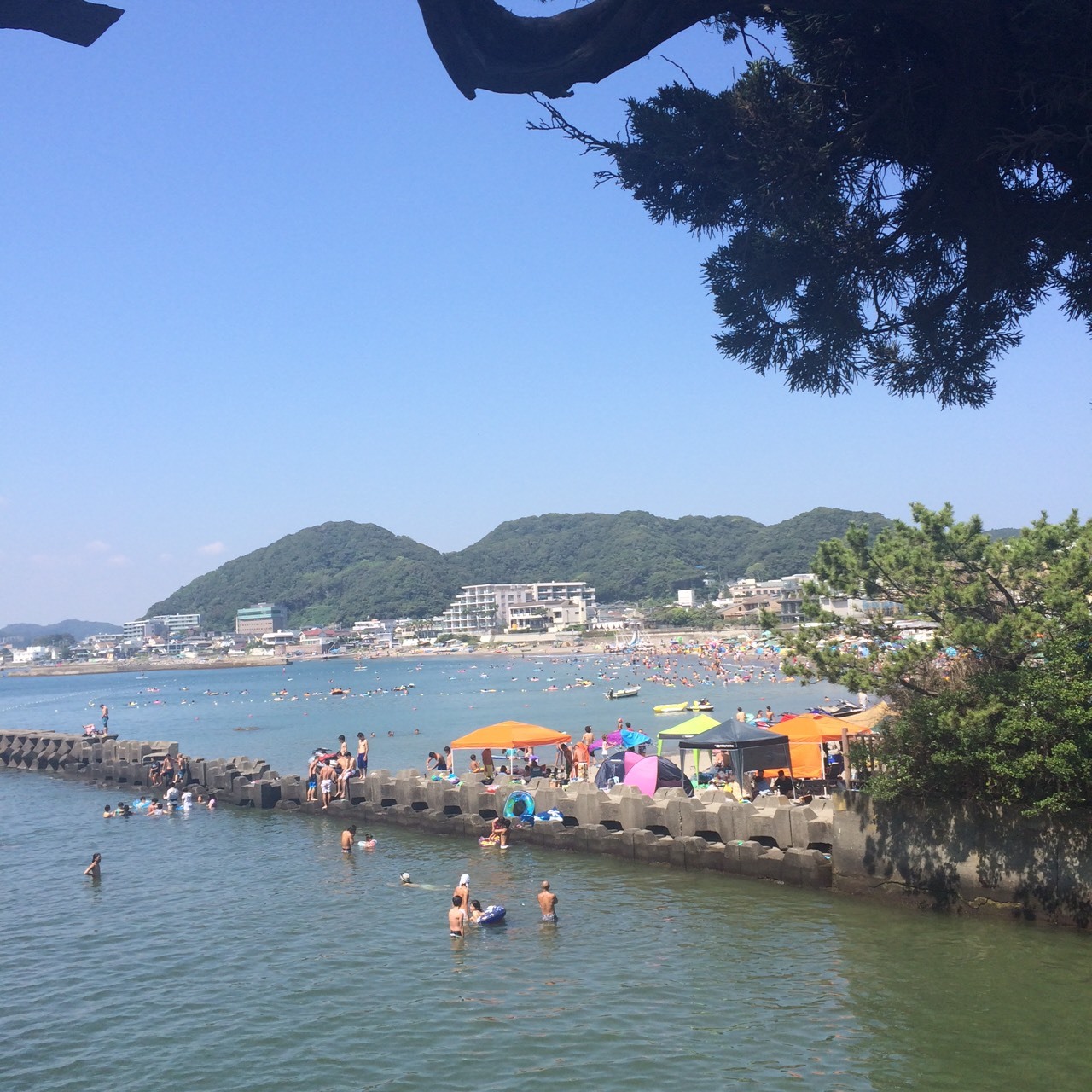【2026年現地ルポ】葉山・森戸海岸が選ばれる理由――富士を望む絶景海岸が遂げた「静かな革新」と持続可能なリゾートの未来