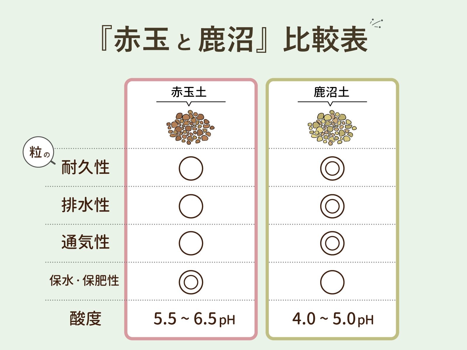鹿沼土と赤玉土の違いとは？酸度と排水性で見極めるプロの使い分け術