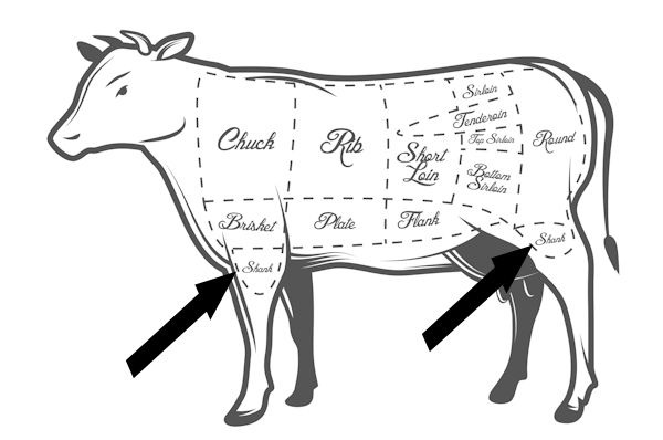 Beef Shank Location on Cow