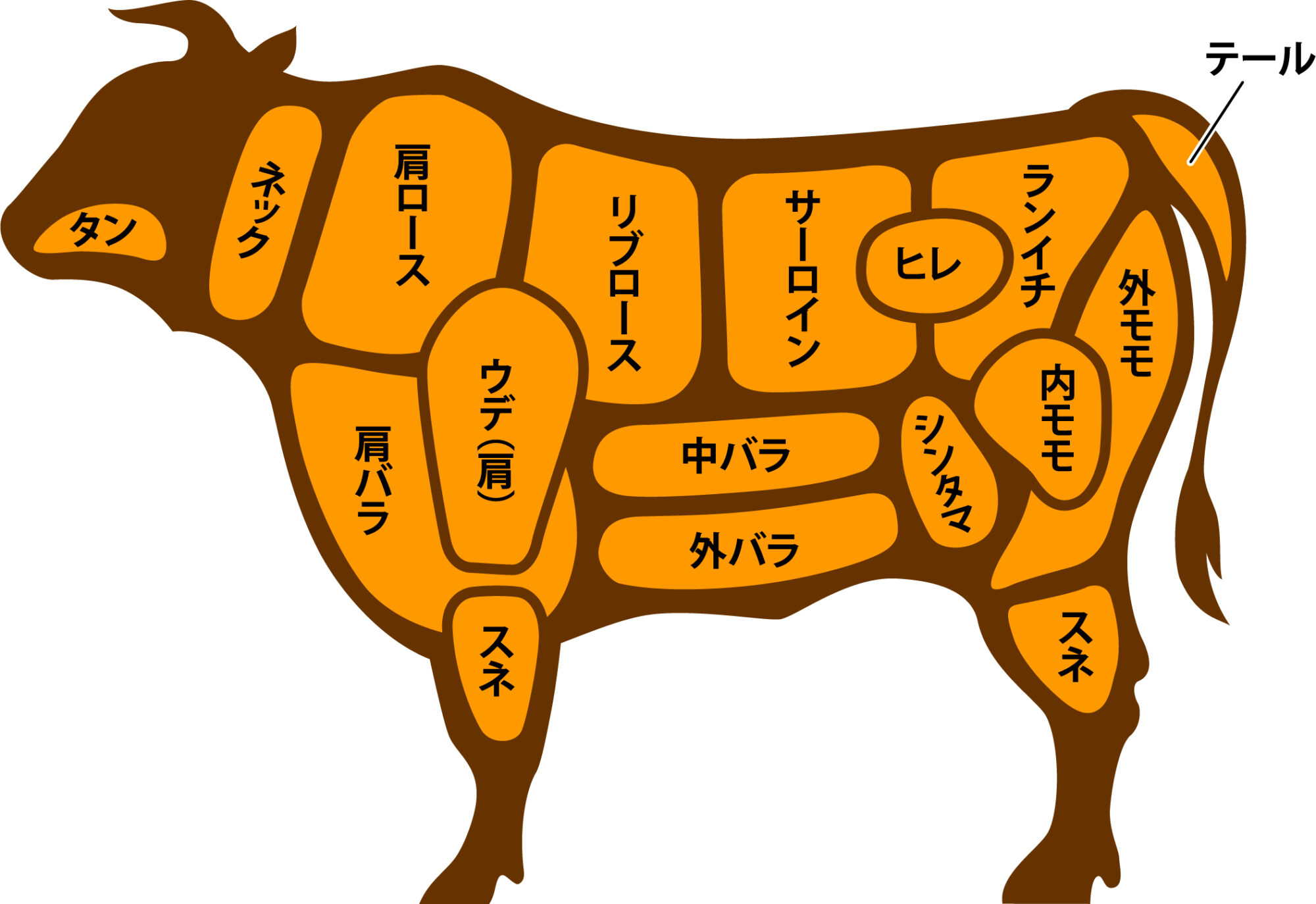 牛の胃が4つある理由と睡眠30分の謎！生態や部位の真実を徹底解明