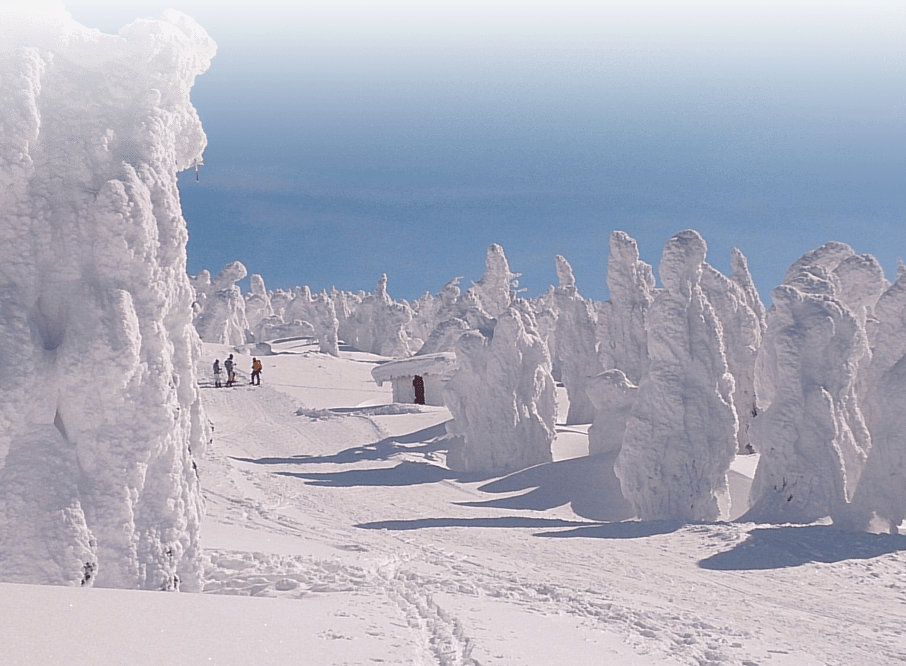 蔵王ライザワールド徹底解剖！極上雪と本格石窯ピザが愛される理由