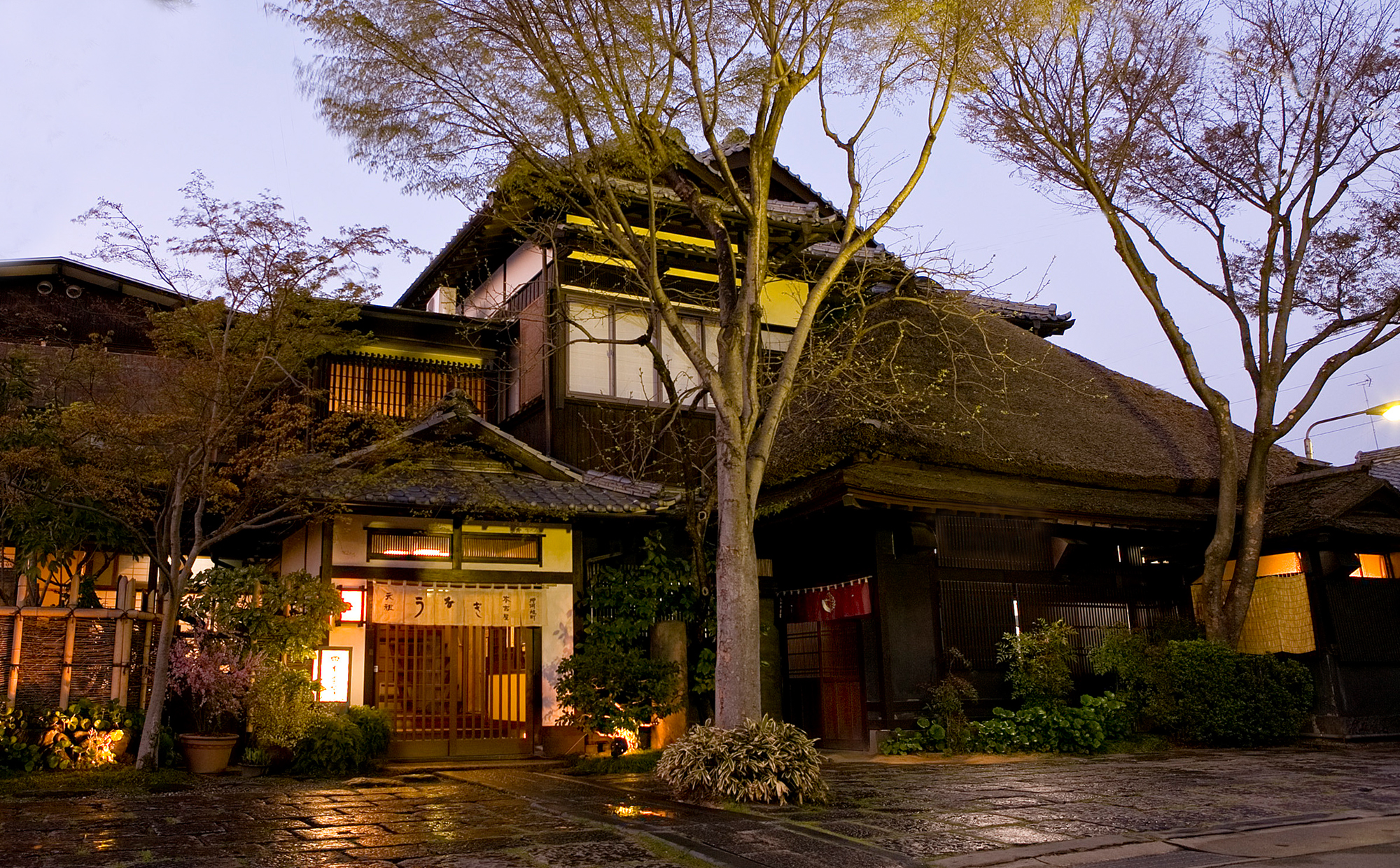 元祖本吉屋本店の行列と味を徹底解剖！名物せいろ蒸しの真価と混雑攻略