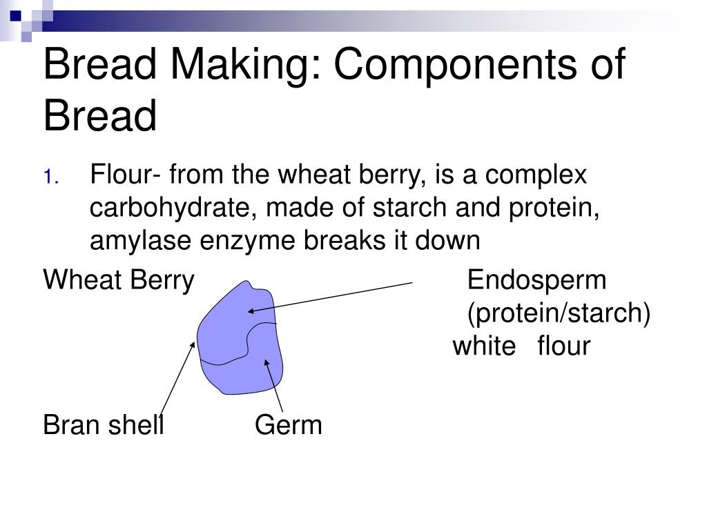 Primary Components of Bread and Lollipops