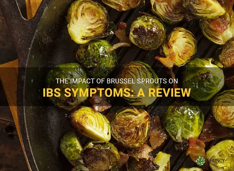 Brussel Sprouts and Flatulence