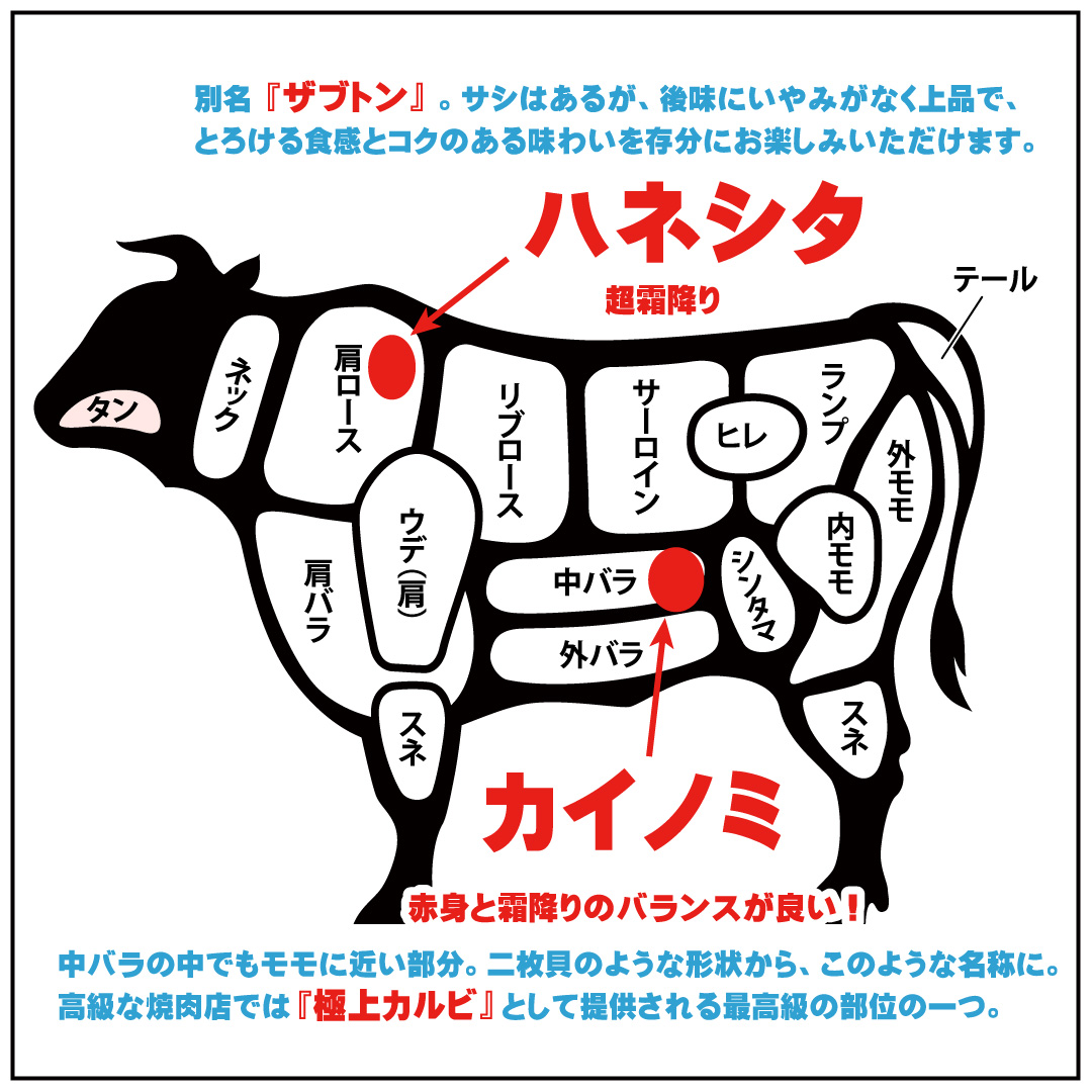 カイノミとは？ヒレとカルビの魅力を兼ね備えた希少部位を徹底解説