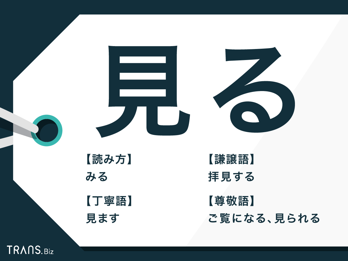 「見る」の謙譲語は拝見する？敬語の使い分けとビジネスメールの落とし穴