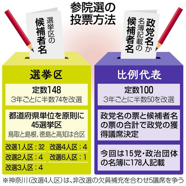 比例代表の書き方完全ガイド！衆院・参院の違いと無効票回避術